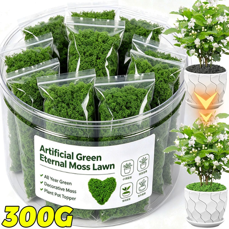 Terrarium Moss Art - Kunstmatige groene planten Eeuwig leven mos
