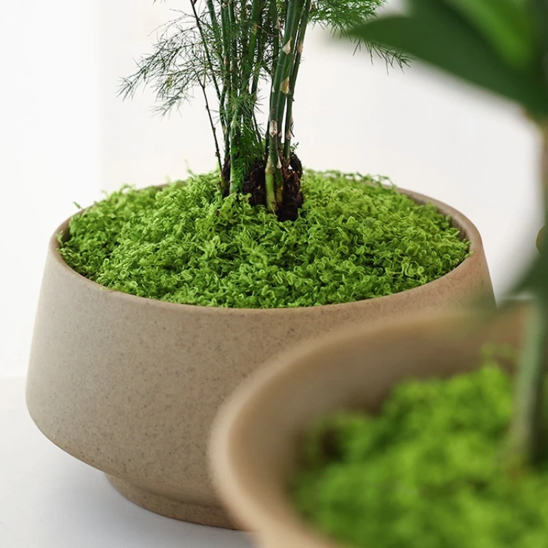 1 Stuk Kunstmatig Mosgrasmat N - Terrarium Moss Art recensie en prijs